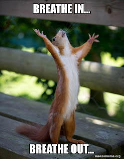 Meme image. Squirrel standing up and reaching to sky. Text Breath In... Breath out...