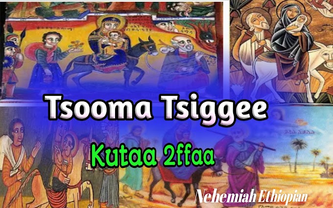 Tsooma Tsiggee | Kutaa 2ffaa : Tsoomni Tsiggee yoom jalqabe? Tsoomni Yoodit yoom fi maalif Tsoomama?