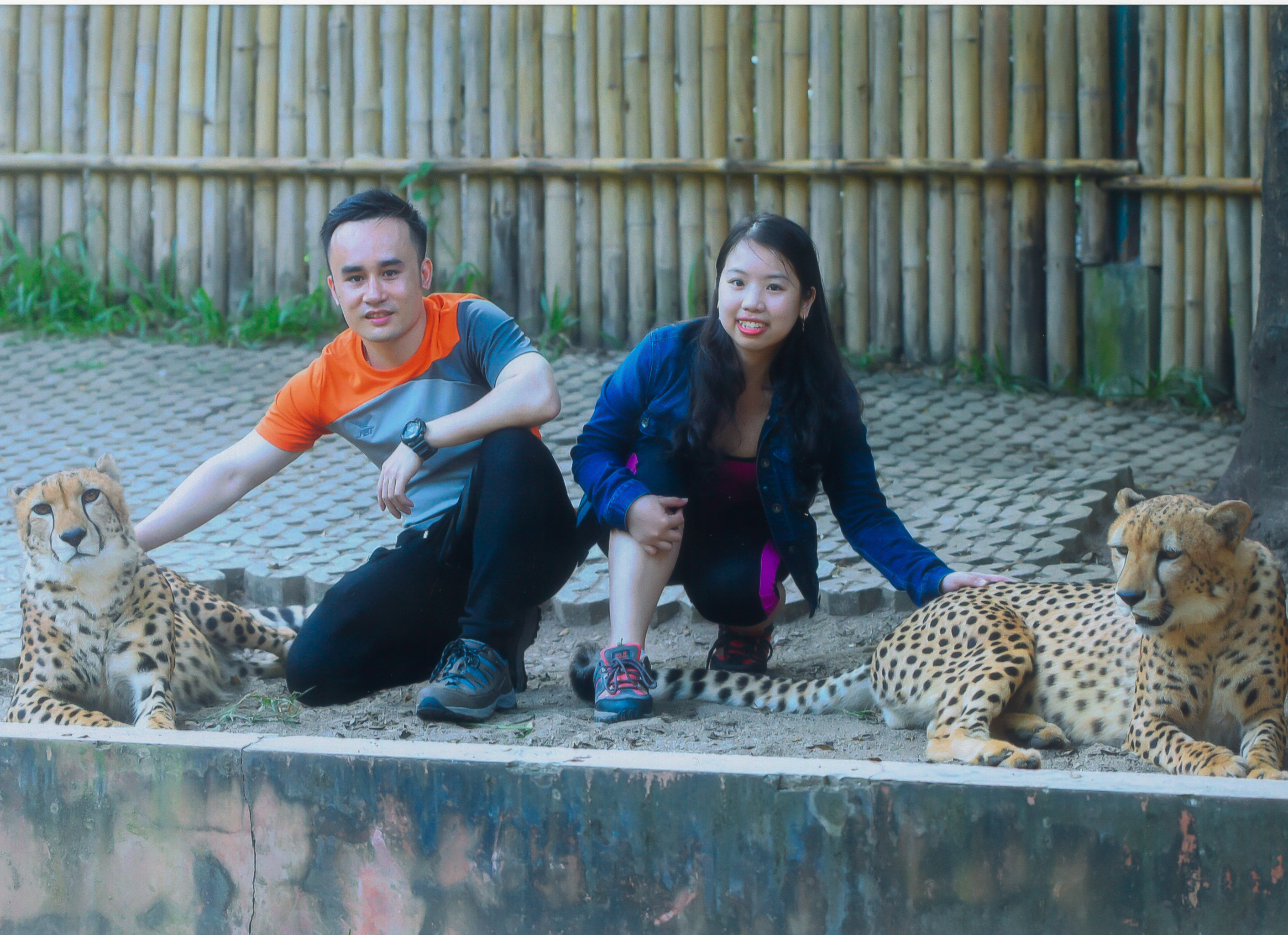 Samui Aquarium & Tiger Zoo
