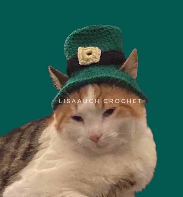 St Patricks Day Mini Crochet Hat for a Cat 