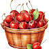 Kirschen im Korb, Cherries in the basket, Cerises dans le panier