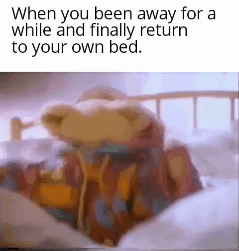 meme about finally finding your own bed, snuggle bear
