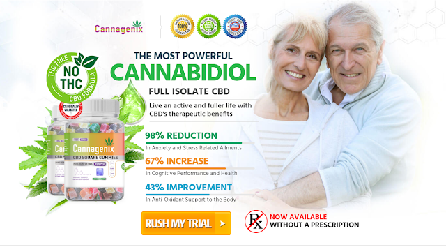 Cannagenix CBD Square Gummies