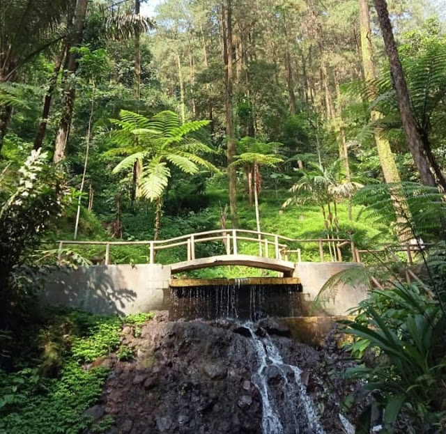 Curug Cipeuteuy Majalengka Harga Ticket Masuk