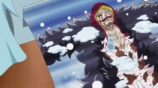 ワンピースアニメ ドレスローザ編 742話 コラソン 死亡 ロシナンテ Rosinante | ONE PIECE Episode 742