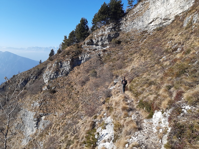 Verso Cima Marzola Sud 1736 m slm - Trentino