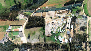 MINEROS ILEGALES USAN BOSQUE PARA OCULTAR SOCAVONES EN EL CERRO EL TORO