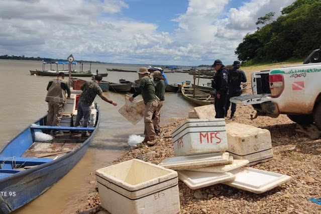 Operações da Semas no período de defeso apreendem mais de 8 toneladas de pescado no oeste do Pará