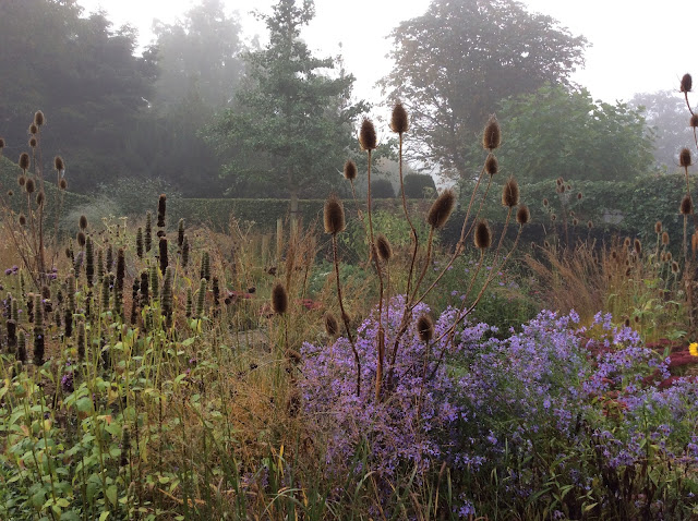 Onze tuin laat in het seizoen (begin november). Veel planten beginnen al bruin kleuren. Wat najaarsasters geven nog kleur. Op de voorgrond het wintersilhouet van de kaardenbol).