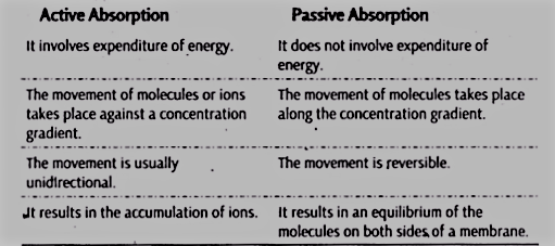 Differences between Active and Passive Absorption