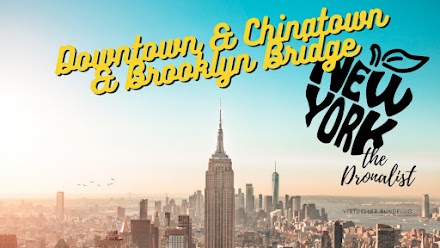 The Dronalist fliegt wieder über New York | Downtown & Chinatown & Brooklyn Bridge 