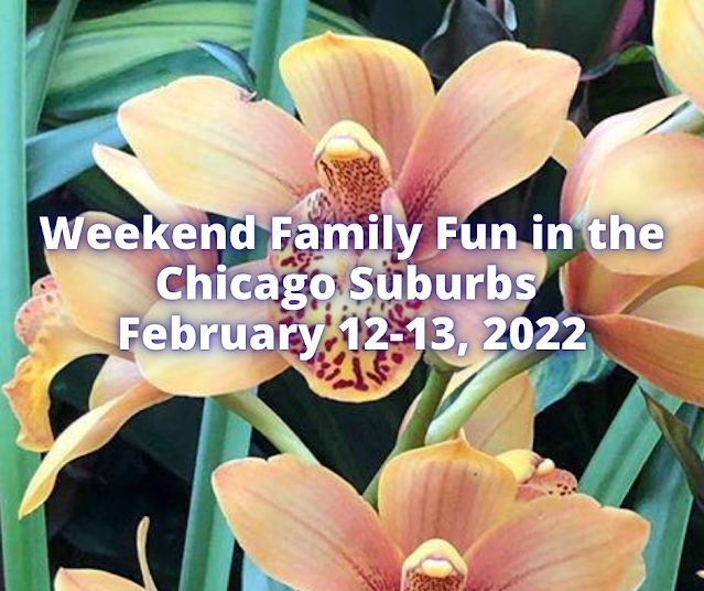 Family Fun in the Chicago Suburbs February 12-13, 2022