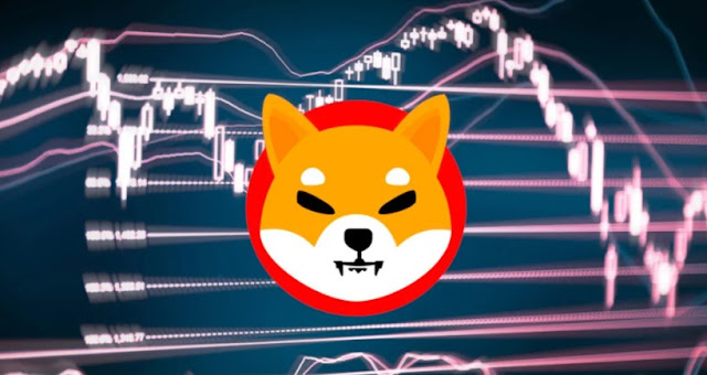 Shiba Inu Price Drops 8% While BitGert Prices Are Increasing