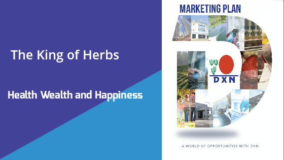 The King of Herbs Dxn  Success Plan PDF 