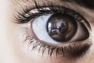 the-eye