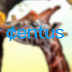 Receive Inflation Compensation Daily and Basic Income Twice a Week with Centus.One