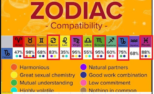 Zodiac compatibility with capricorn