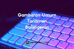 Gambaran Umum Tanaman Balangeran