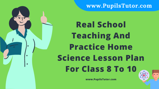 Free Download PDF Of Real School Teaching And Practice  Home Science Lesson Plan For Class 8 To 10 On Types Of Textiles Topic For B.Ed 1st 2nd Year/Sem, DELED, BTC, M.Ed In English. - www.pupilstutor.com