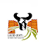 Latest Livestock & Dairy Development Department Management Posts Peshawar 2023