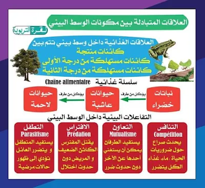 ملخصات المستوى السادس