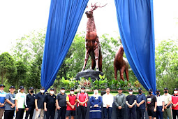  Indah dan Megah, Taman Rusa Sekupang Kini Resmi Dibuka