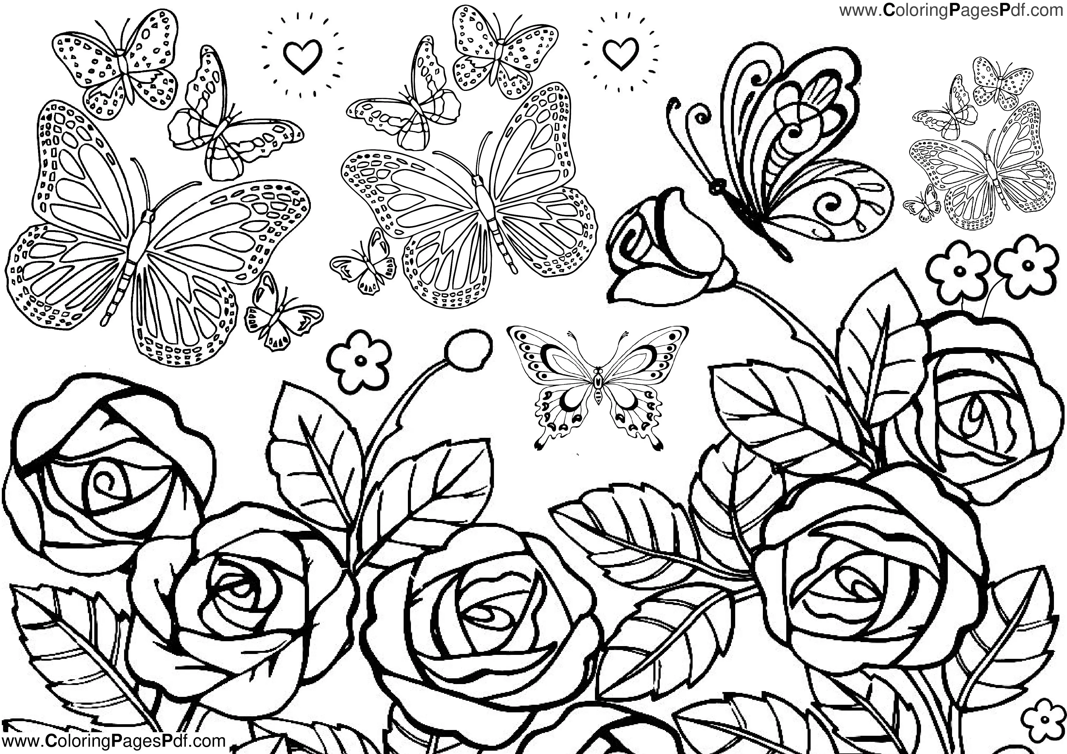 Coloring pages of roses and butterflies