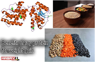 فوائد بروتين الصويا لزيادة الوزن Benefits of soy protein for weight gain