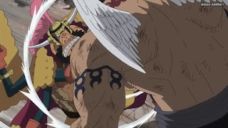 ワンピースアニメ WCI編 798話 | ONE PIECE Episode 798