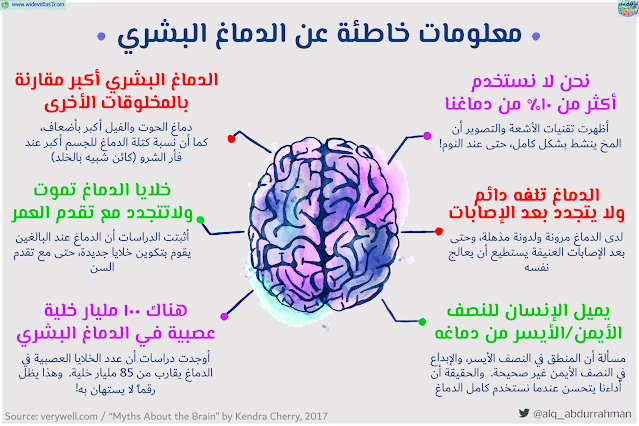 معلومات خاطئة عن الدماغ البشري