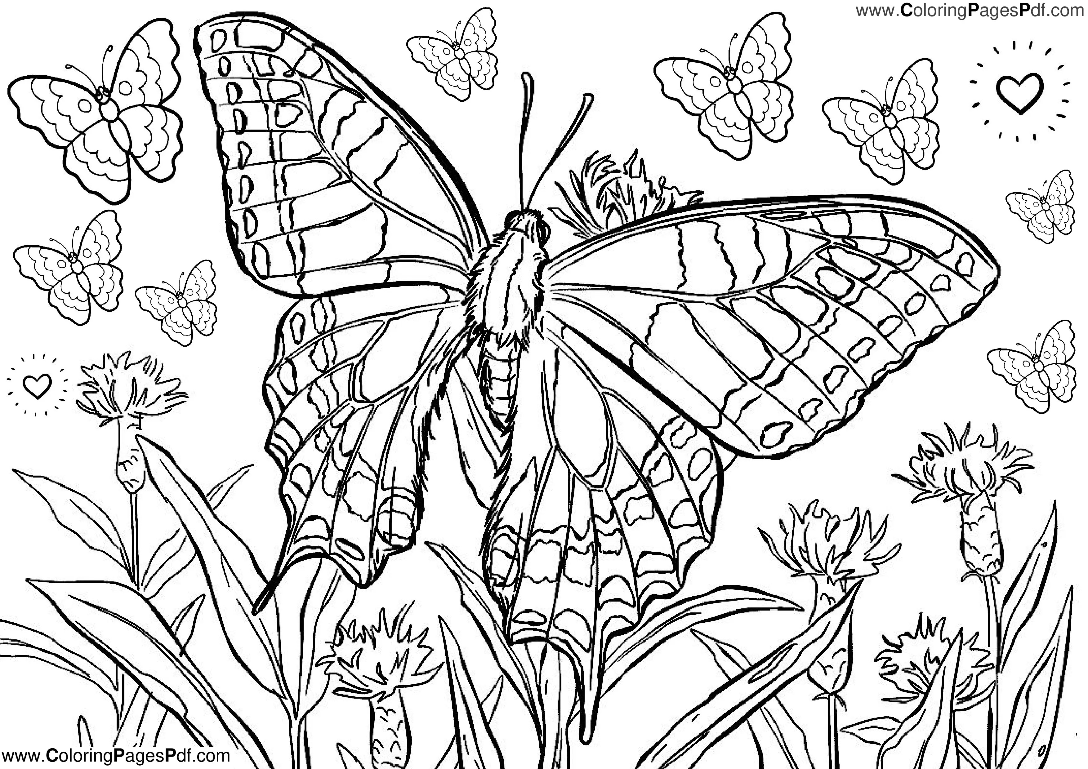 Butterfly coloring pages for adults