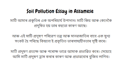 Soil Pollution Essay in Assamese