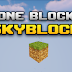Tek Blok Skyblock Map 1.16.4 Minecraft Mod İndir