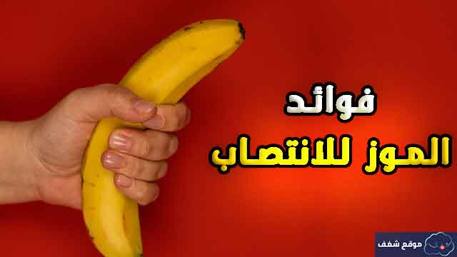 للعضو الذكري الموز فوائد فوائد تدليك