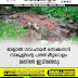 ബളാൽ ഗവ.ഹയർ സെക്കണ്ടറി  സ്കൂളിൻ്റെ പത്ത് മീറ്ററോളം  മതിൽ ഇടിഞ്ഞു