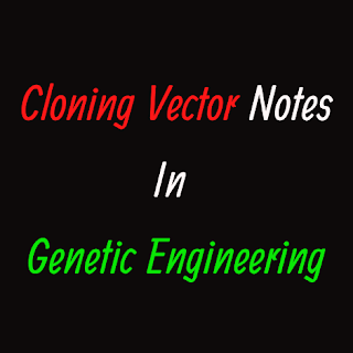 Cloning Vectors in Genetic Engineering