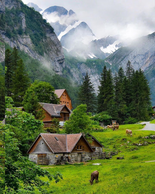 Orta-batı Avrupa arasında yer alan İsviçre, Alpler'in kuzey ve güney yamaçlarında konumlanmıştır. Güneydeki İsviçre Alpleri, ortadaki İsviçre Platosu ve kuzeydeki Jura Dağları olmak üzere ülke üç ana topoğrafik alana ayrılabilir.