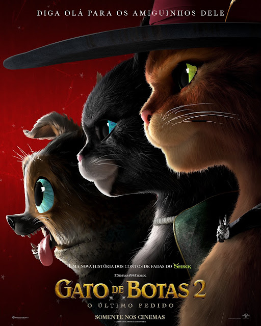 BATALHA DE GATOS! * guerra dos gatos * 