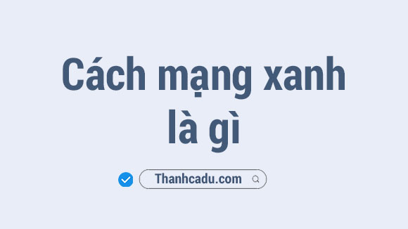 cach mang xanh an do, nuoc khoi au cuoc cach mang xanh, nuoc nao a khoi au cach mang xanh, mot so han che cua cach mang xanh, cach mang xanh cua nuoc nao, giong cay mo dau cho cuoc cach mang xanh, cach mang xanh, quoc gia da tien hanh thanh cong nhat cuoc cach mang xanh