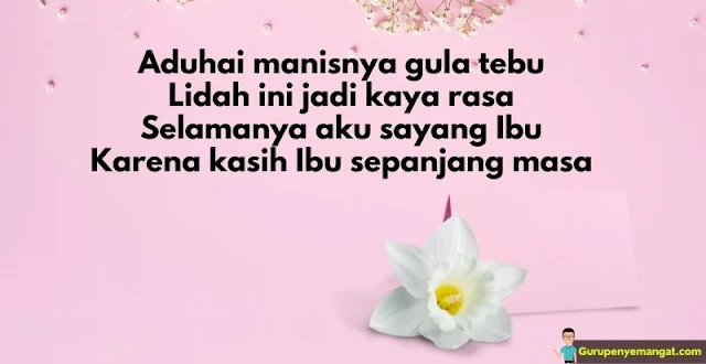 Pantun untuk Ibu Tersayang yang Menyentuh Hati