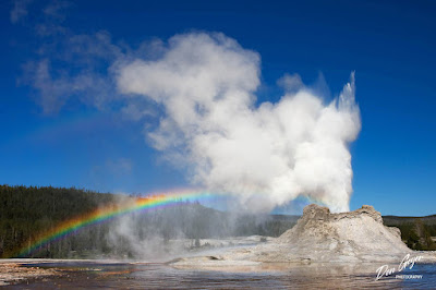 Image of Castle Geyser Yellowstone