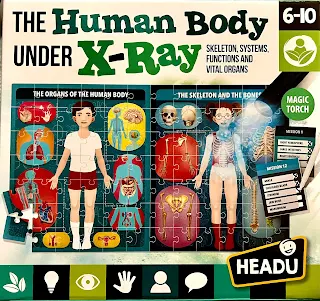 The human body under x-ray jigsaw box