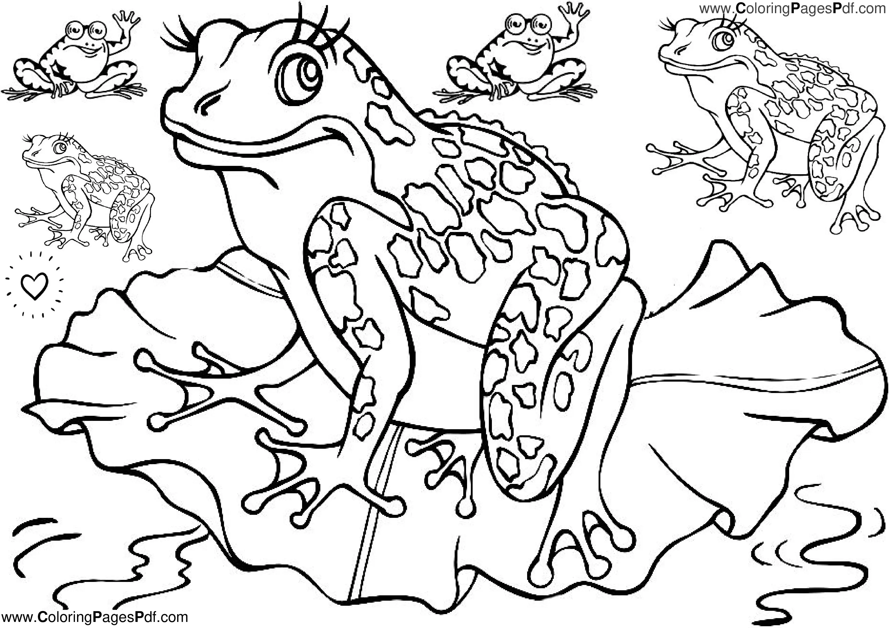 Frog coloring pages cute