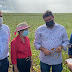 Aprosoja/MS receberá demanda de agricultores com prejuízos e repassará ao Mapa