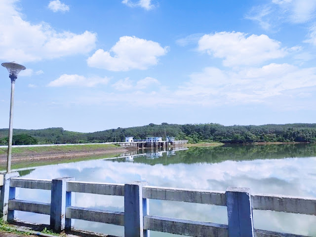 Malankara dam thodupuzha