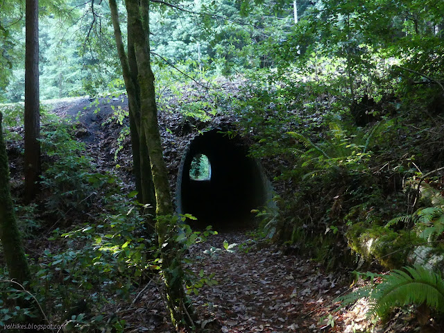 43: narrow culvert with a paved bottom