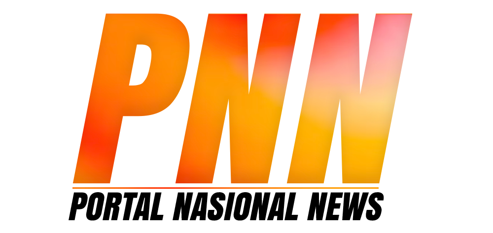 PNN.online