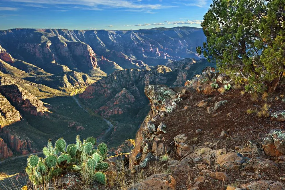 Sycamore Canyon Arizona