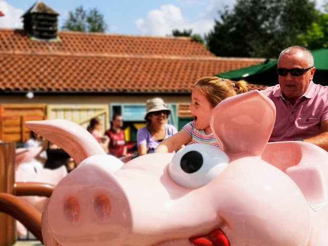 Image of the giddy piggies ride at sundown adventureland. The image shows a pig ride flying high in the air and a young girl sat in the front seat laughing and having a good time. In the back seat is her grandad, he looks scared and it holding on tightly.