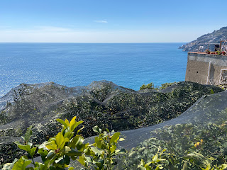 Lemon orchards on the Amalfi Coast between Minori and Maiori covered with black netting to protect them from hail.